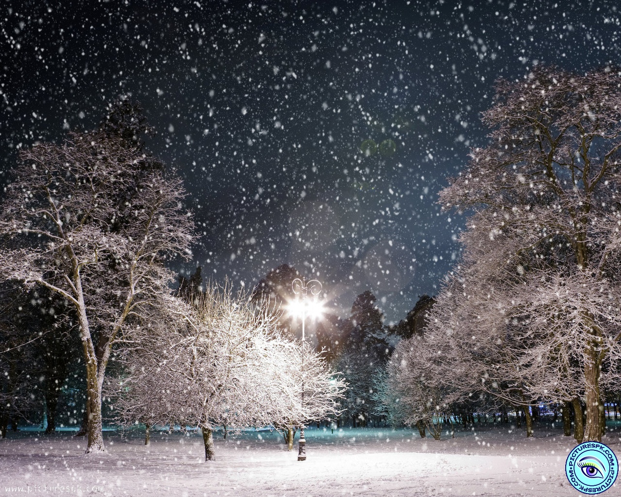 Snow Falling Picture Wallpaper In Resolution