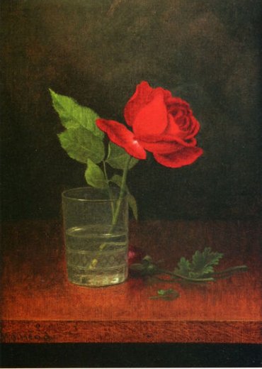 Single Rose Oil Painting