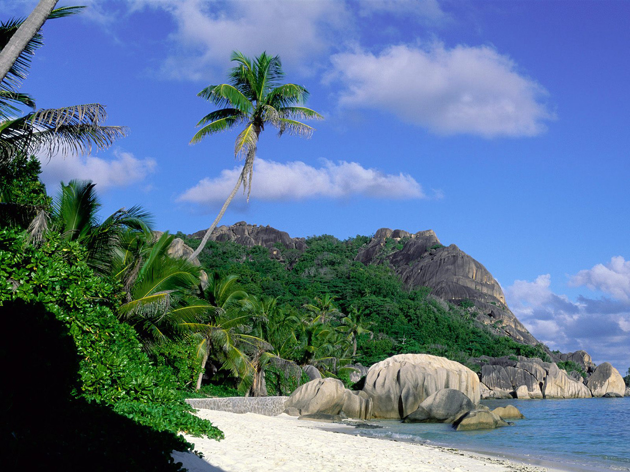 Tropical beach paradise with palm trees, white sand, and granite boulders in the Seychelles