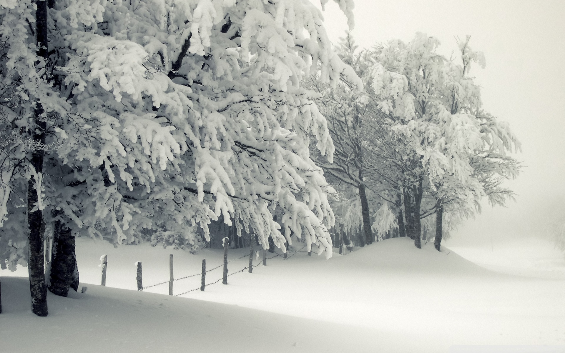 Snowy Landscape 4k HD Desktop Wallpaper For Ultra Tv