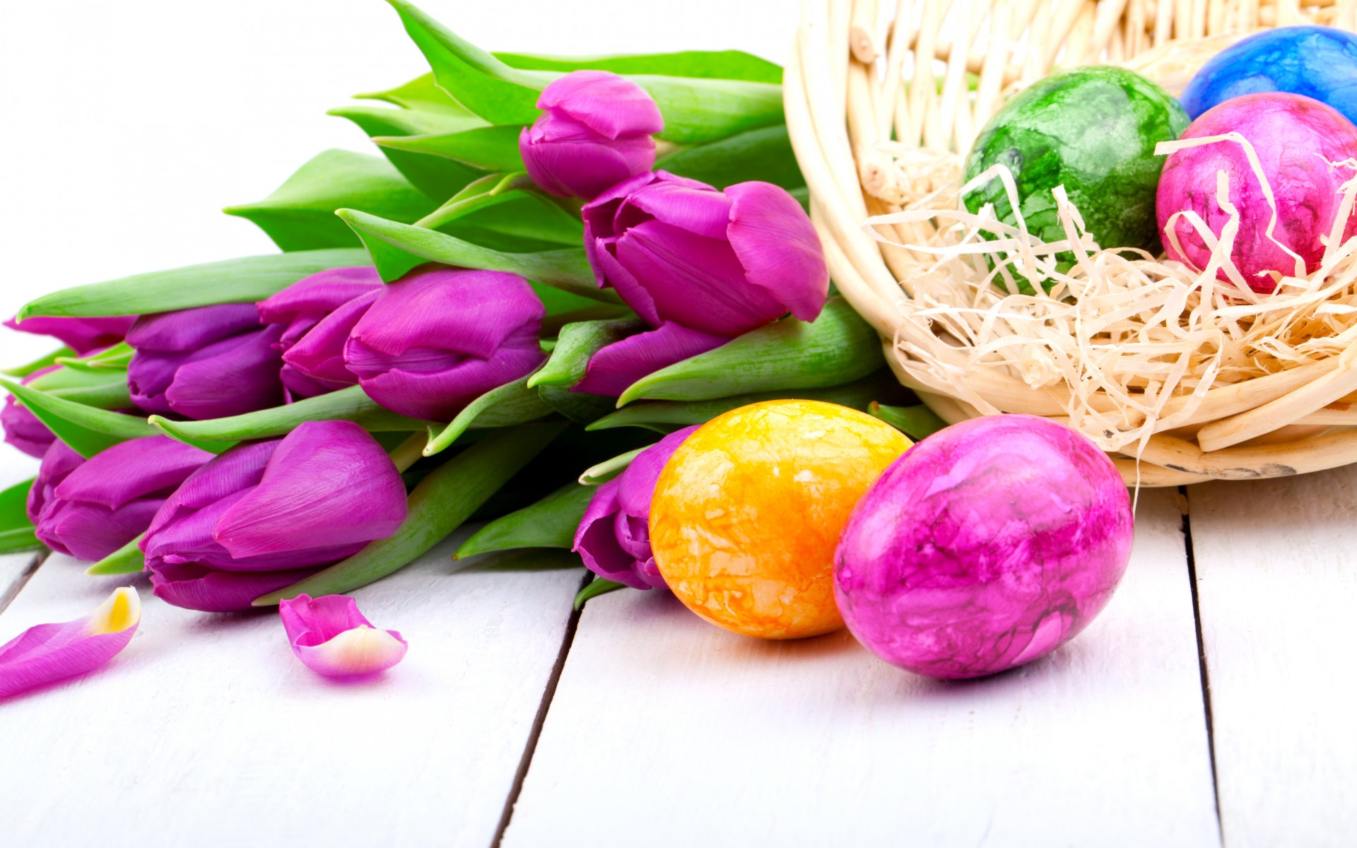 Tulips Purple Flowers Spring Holiday Easter Eggs Wallpaper