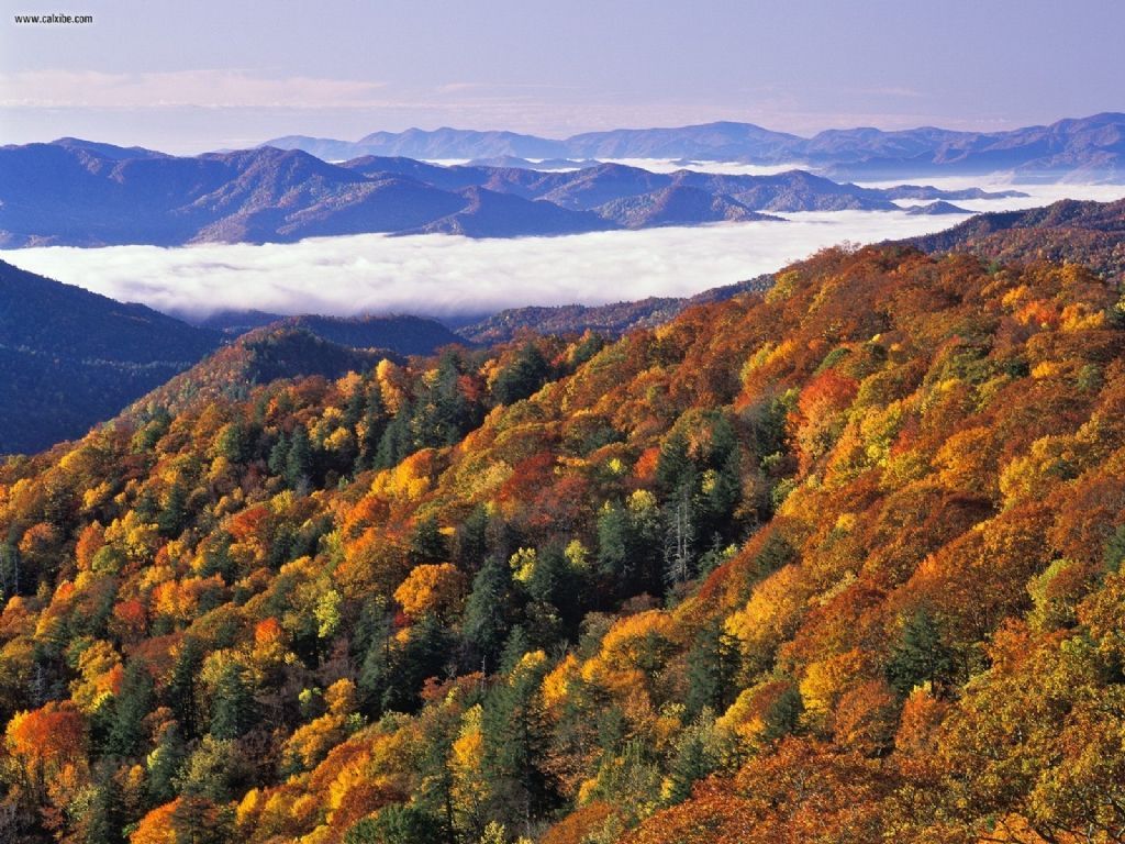North Carolina Great Smoky Mountains Nature Wallpaper Featuring HD