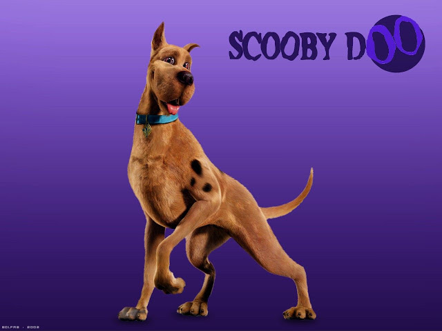HD Wallpaper Scooby Doo