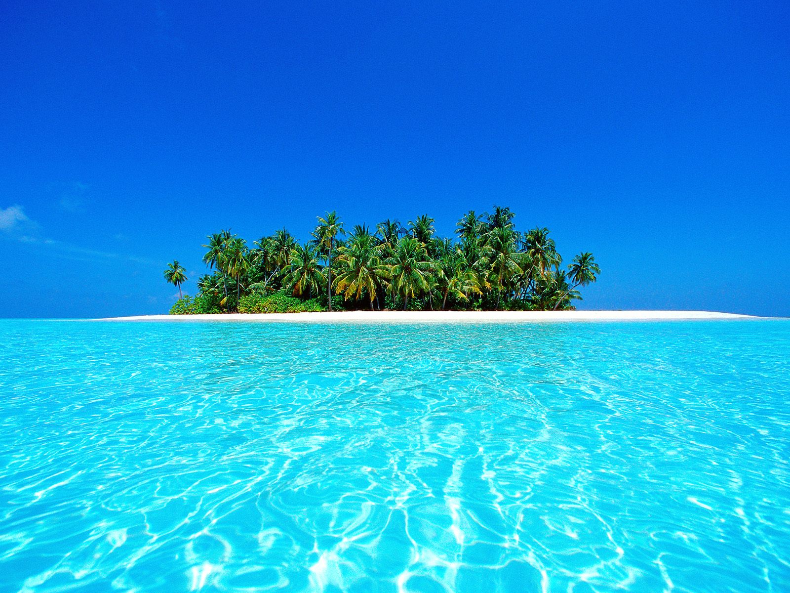 Beautiful Pic Different Pictures Wallpaper