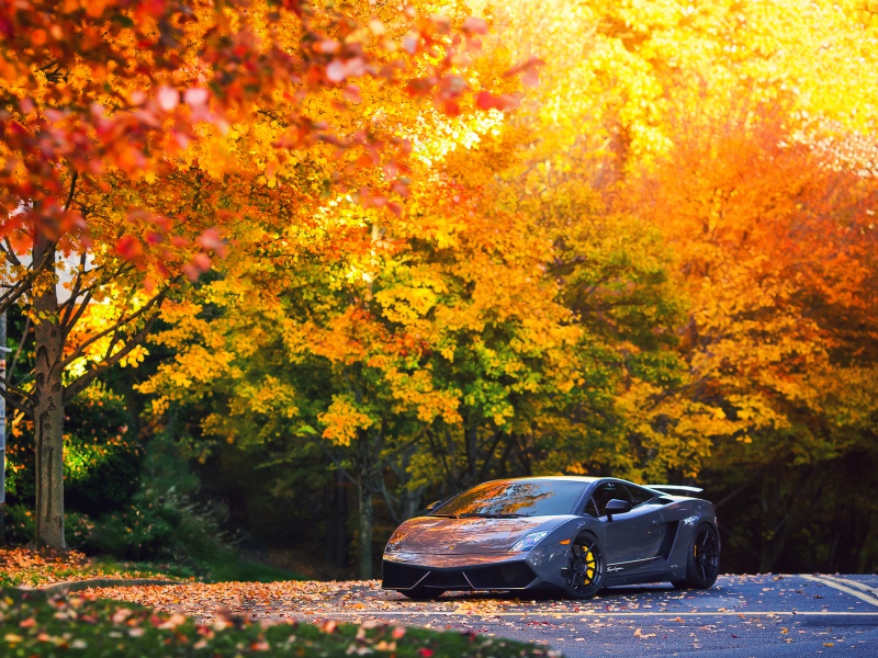 Wallpaper Lamborghini Autumn Gallardo Superleggera
