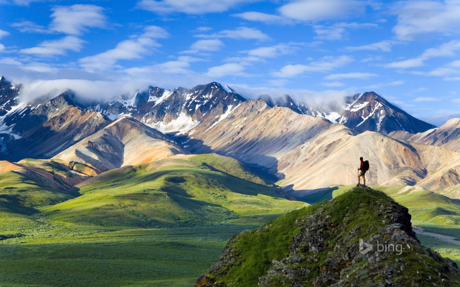 Denali Wallpaper And Background Image