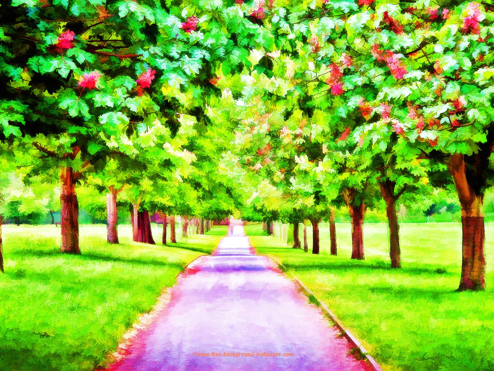 Cherry Tree Walk Beautiful Desktop Background 1600x1200