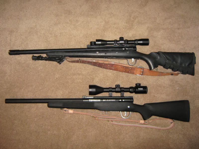 Remington M24 And Parker Hale M82 Graphics Pictures Image For