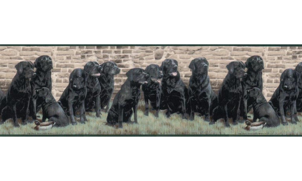 [48+] Puppy Dog Wallpaper Border | Wallpapersafari.com