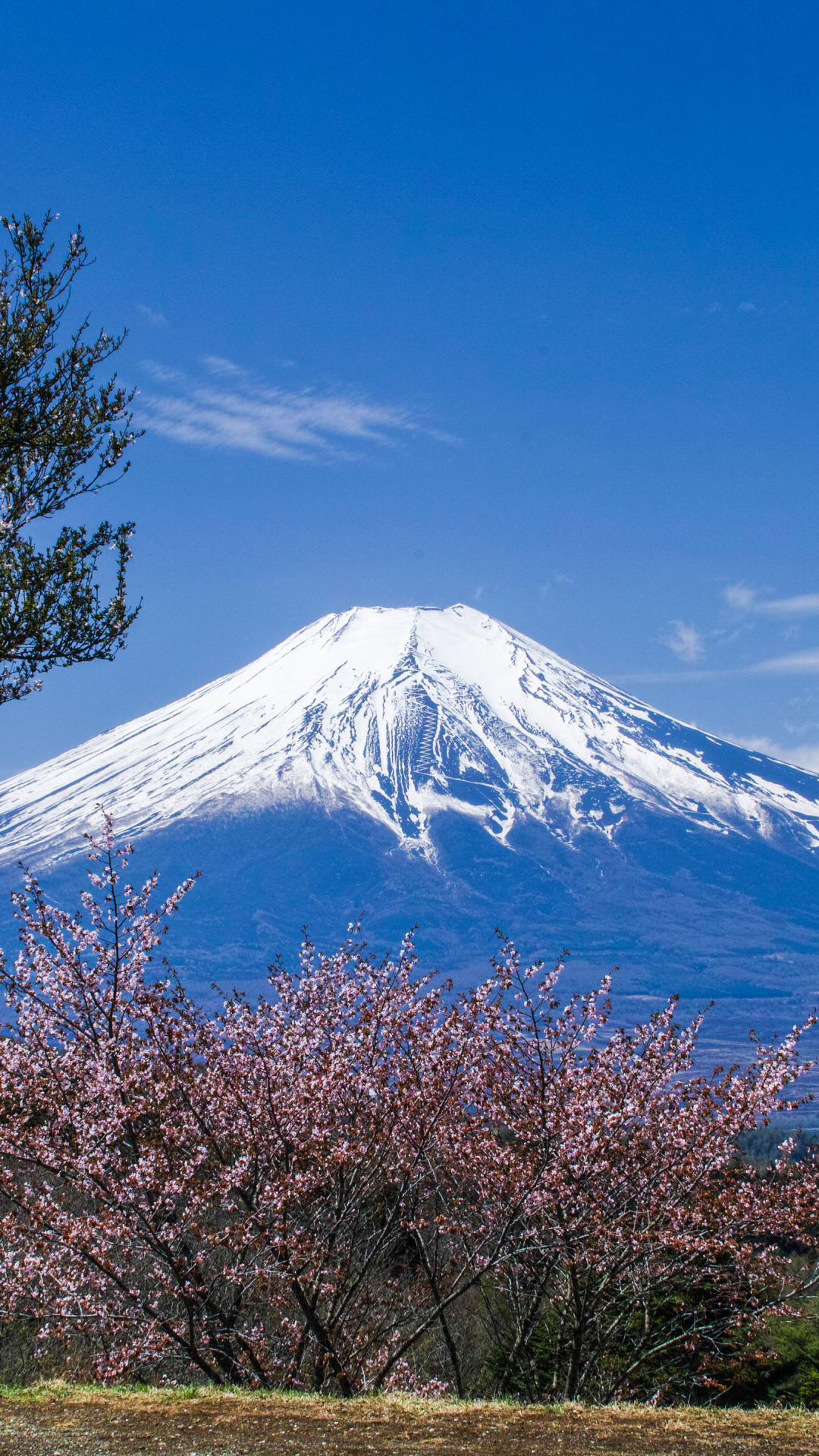 Earth Mount Fuji Wallpaper Id