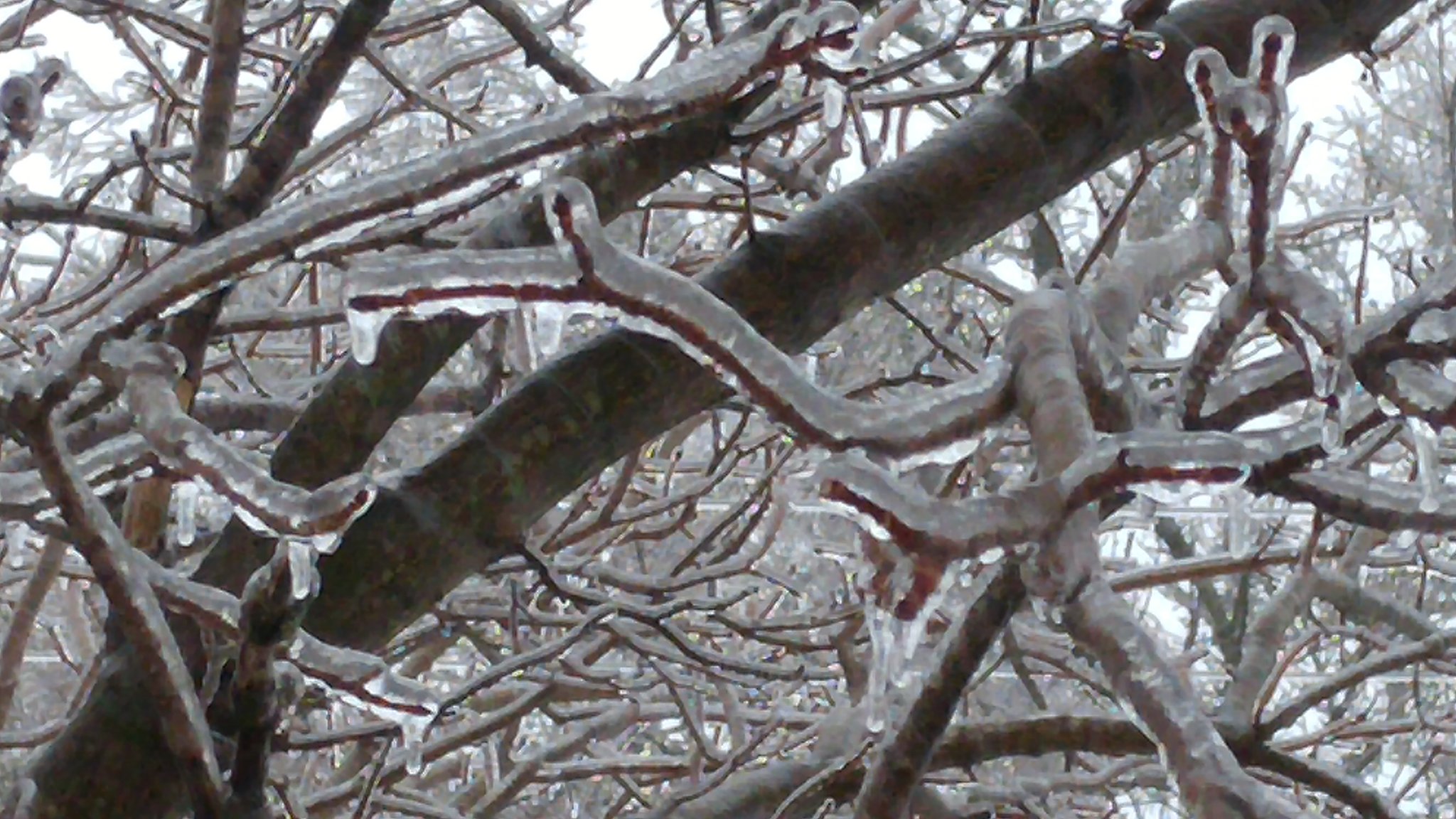 February Ice Storm Followed By Strong Winds Over