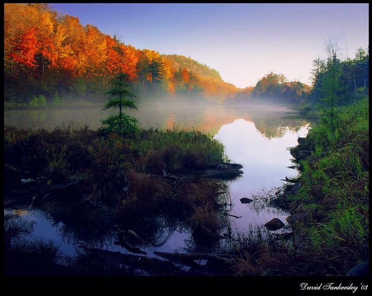 Adirondacks gorgeous photo is Daybreak in the Adirondacks by David