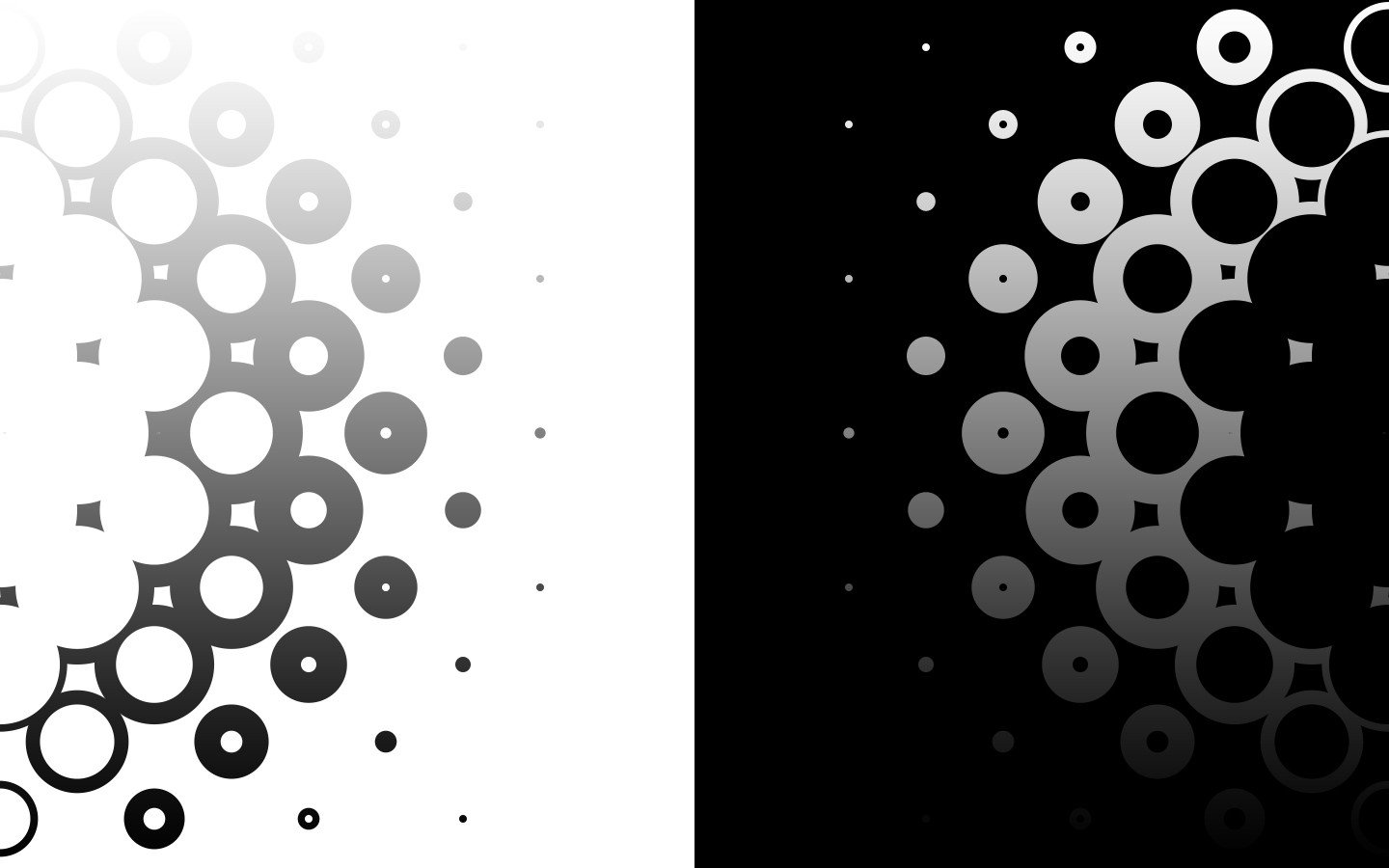 Black White Circles Monochrome Modern Wallpaper
