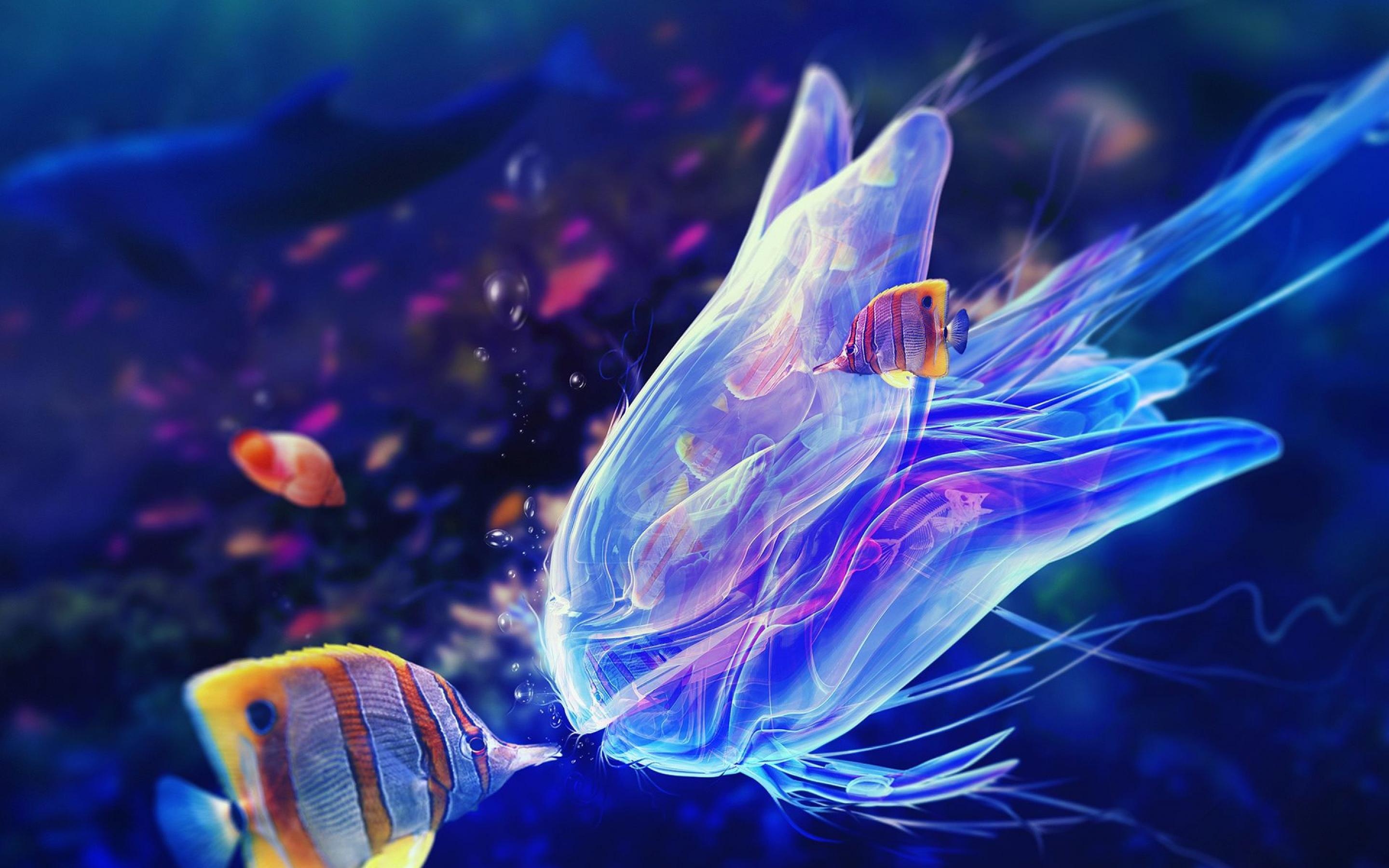 Most Colorful Jellyfish HD Image For Gadget Background