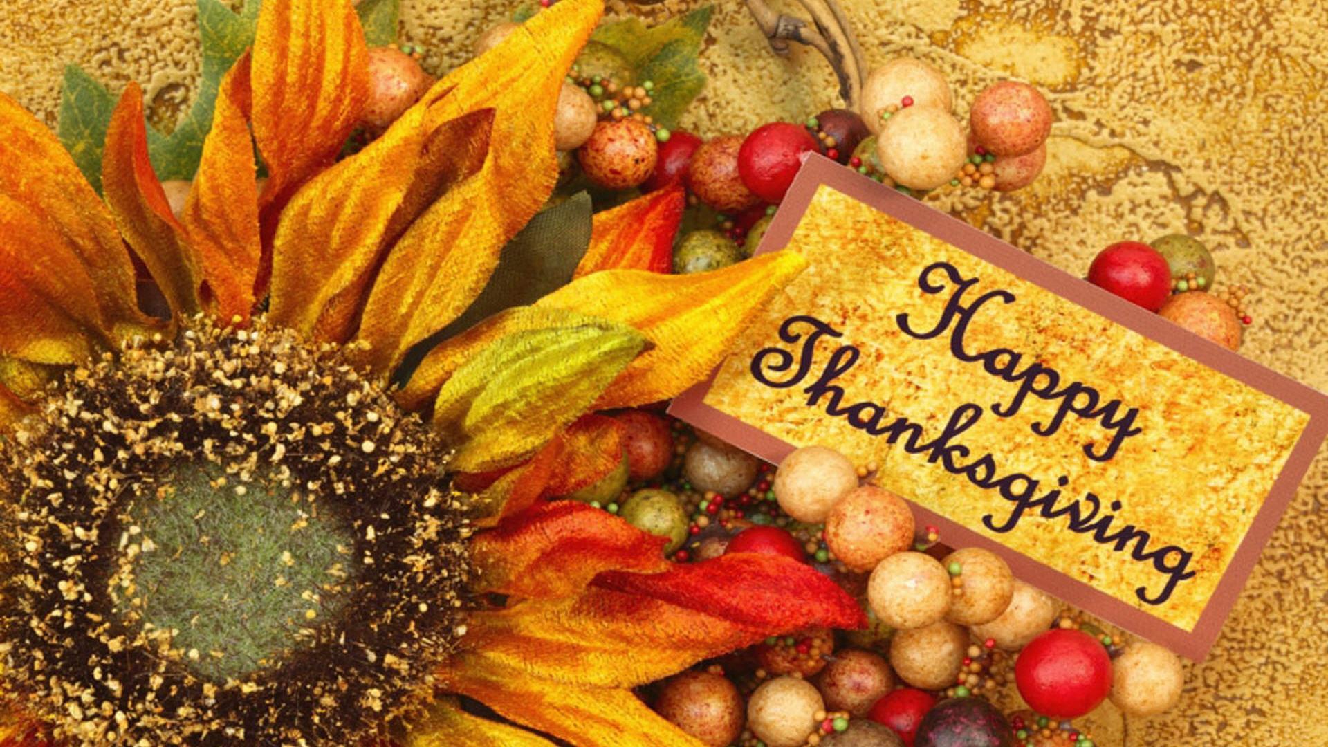 Happy Thanksgiving Day Flower Desktop Wallpaper Theabridge