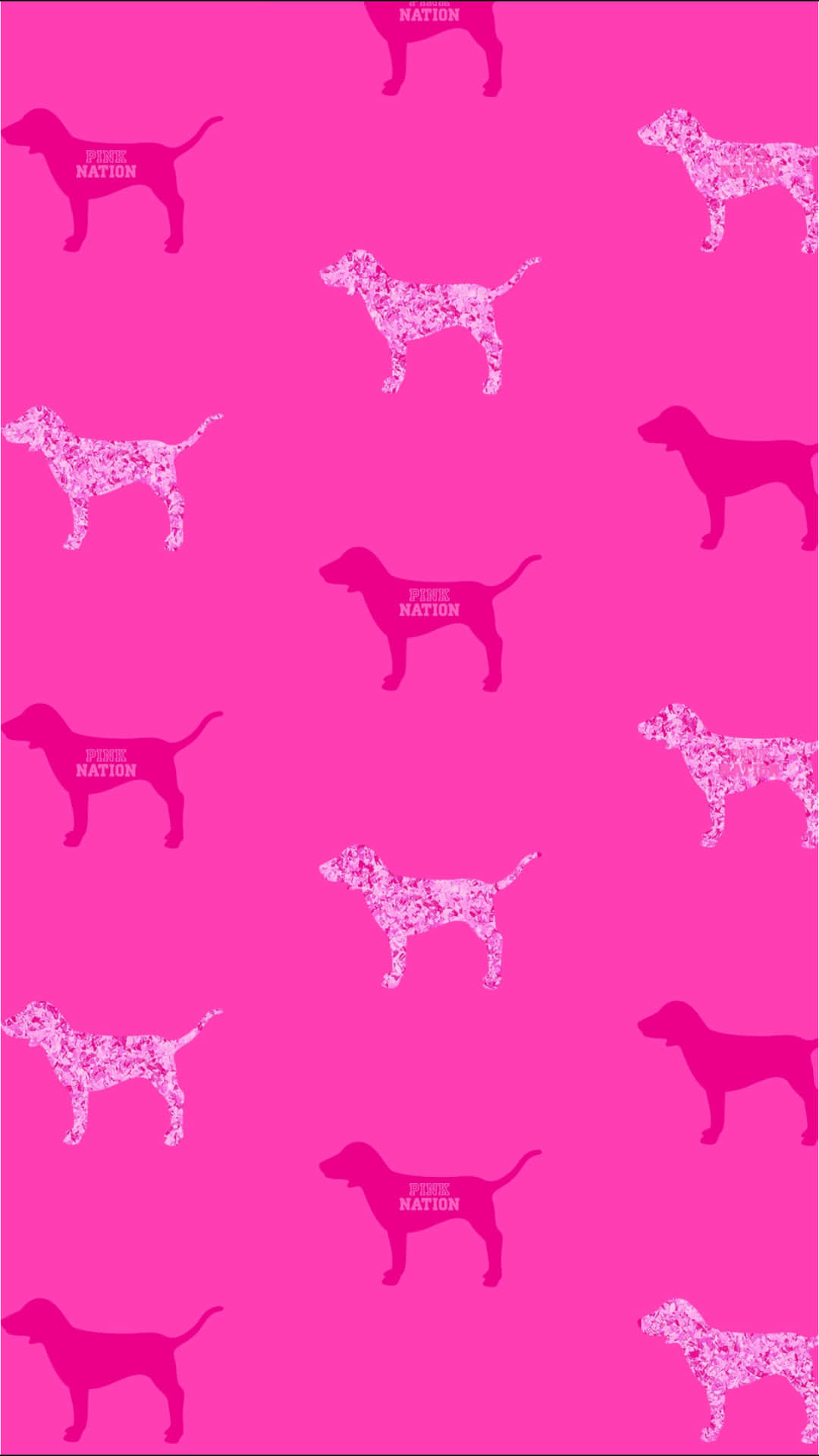 Pink Puppies Wallpaper