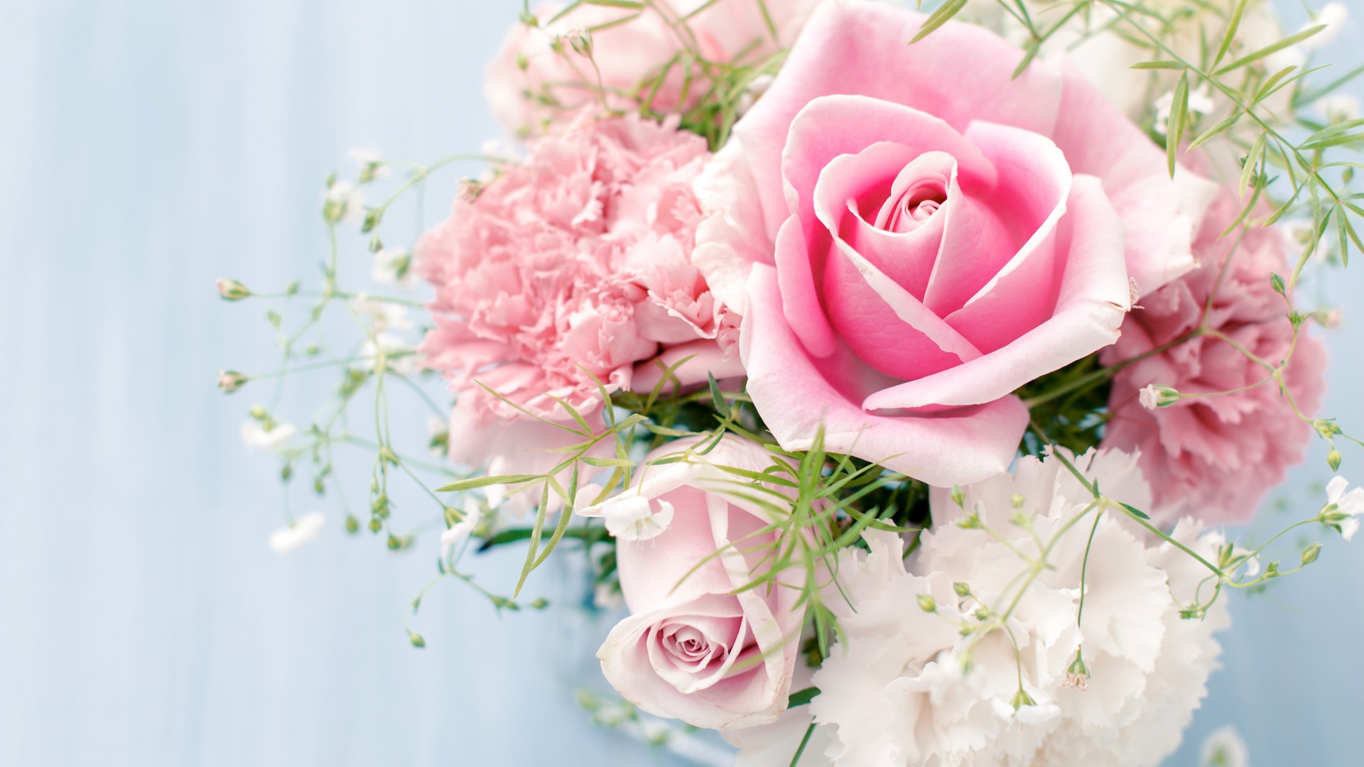 Flowers Image Roses HD Wallpaper And Background Photos
