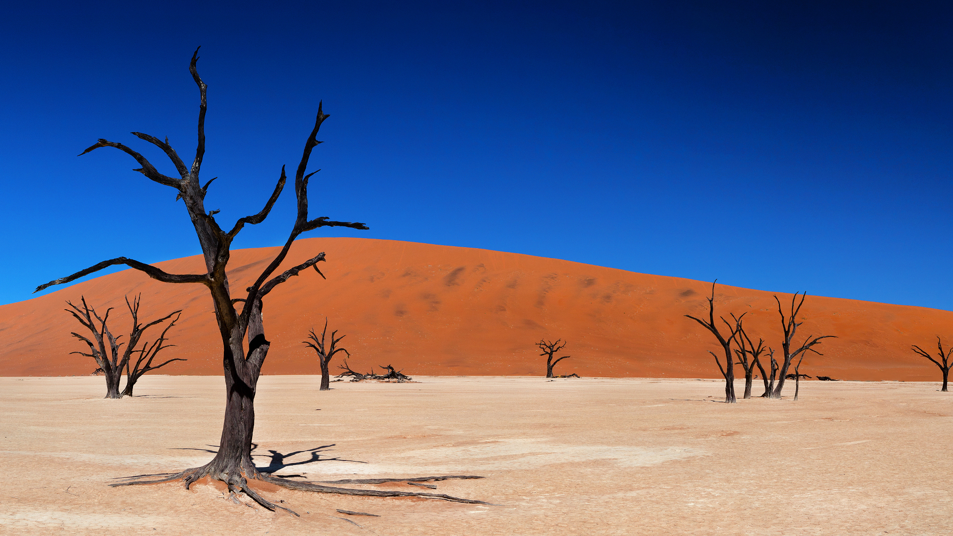 Desert Landscape Wallpaper