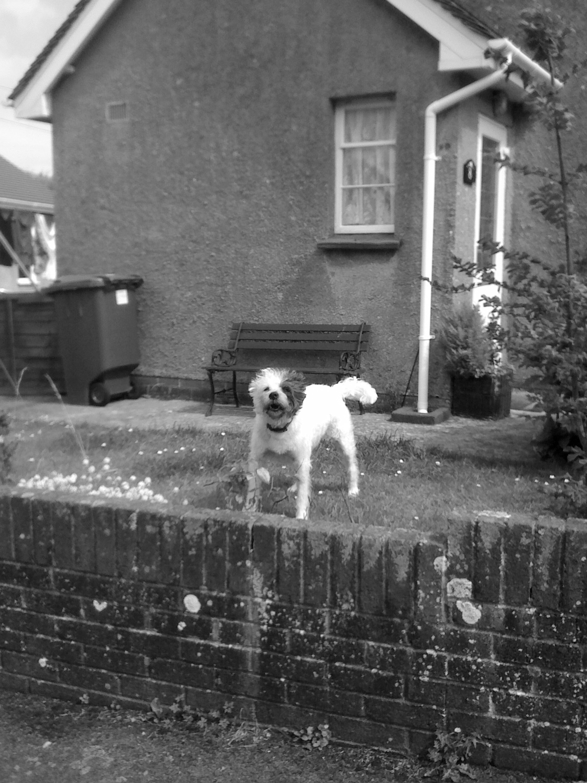 Free download Yogesh Patil Hackers WallPapers Collection Part I