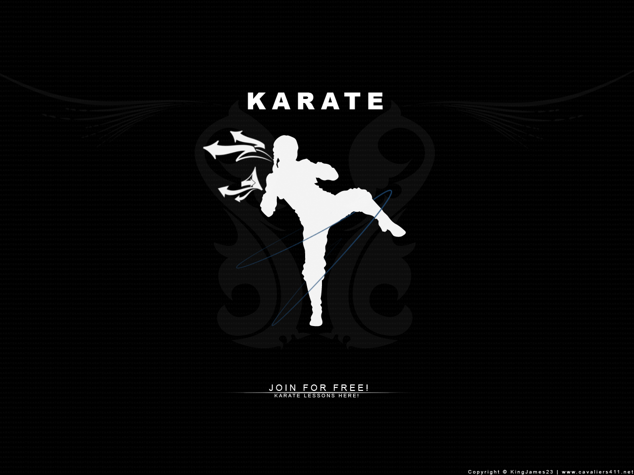 48 Kenpo Karate Wallpaper On Wallpapersafari
