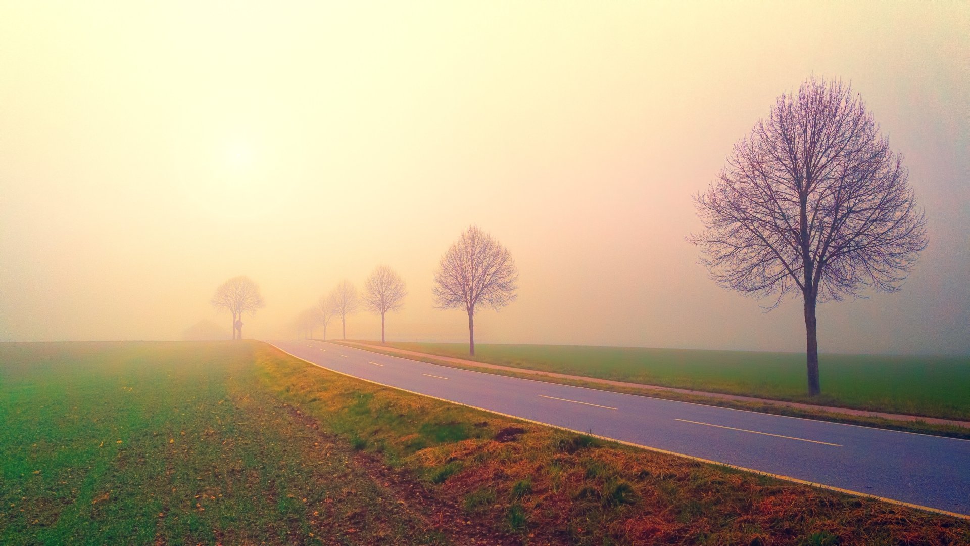 Road Nature Fog 4k Ultra HD Wallpaper