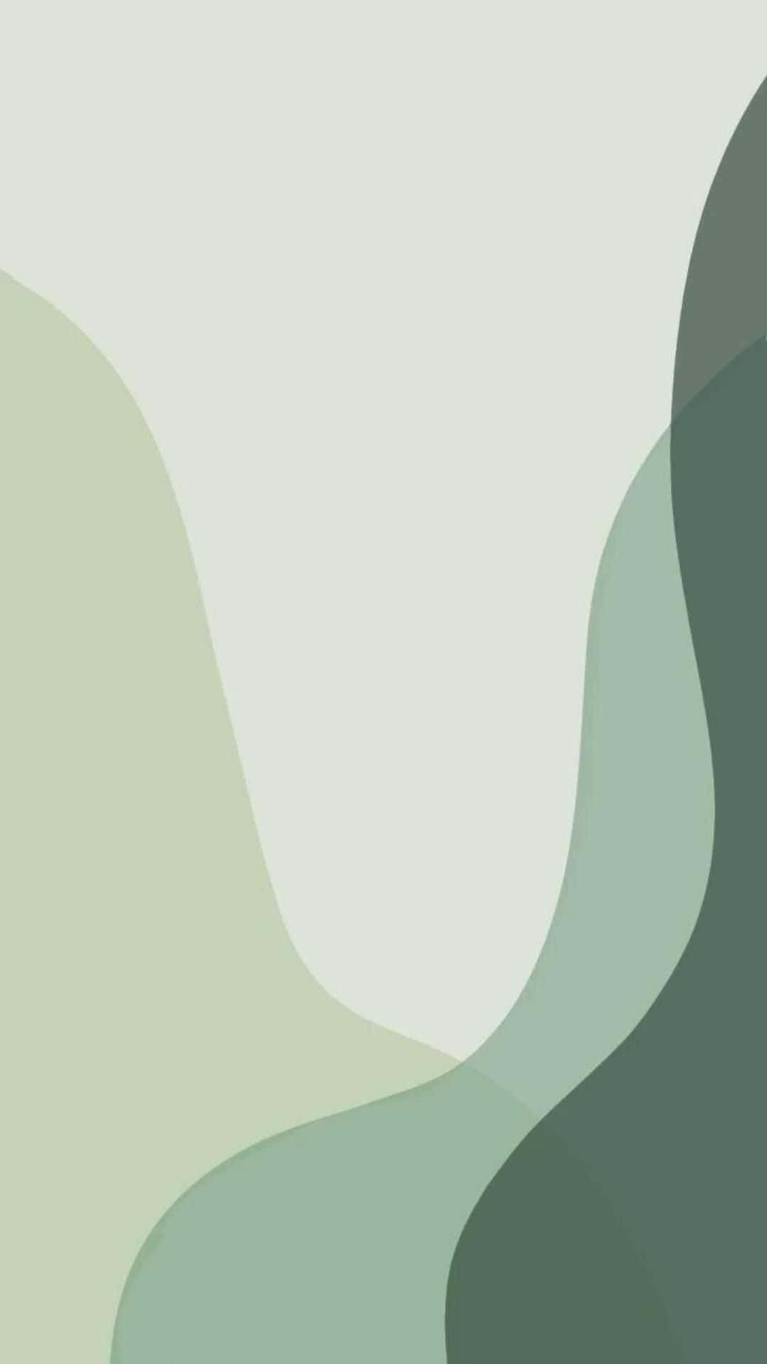 Cute Sage Green Wallpaper