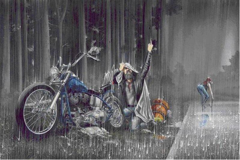 David Mann Hand Signed And Numbered Limited Edition Thunder Struck
