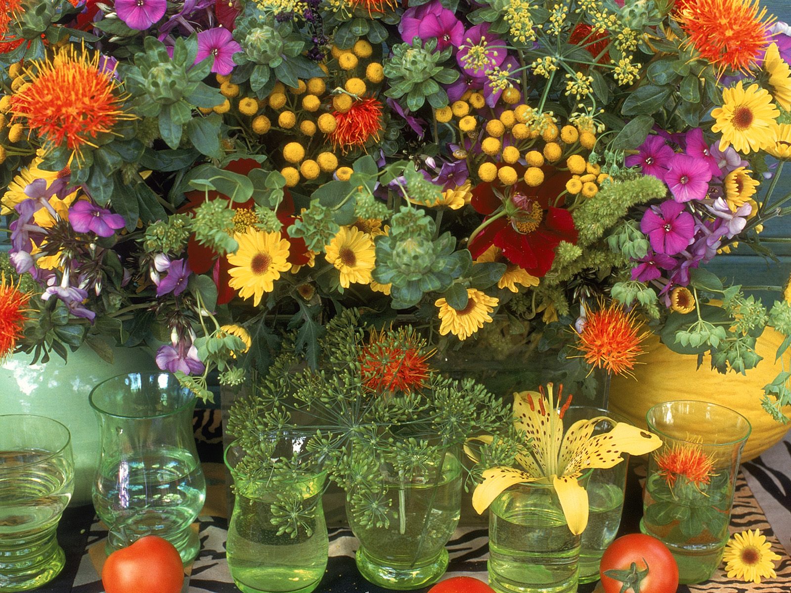 Garden Variety Flowers Photography Desktop Wallpaper S