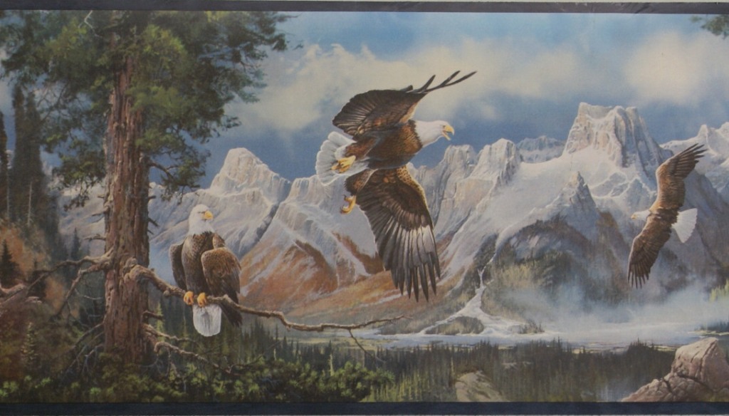 Eagles Nature Wallpaper Border A14c11 Ep8017