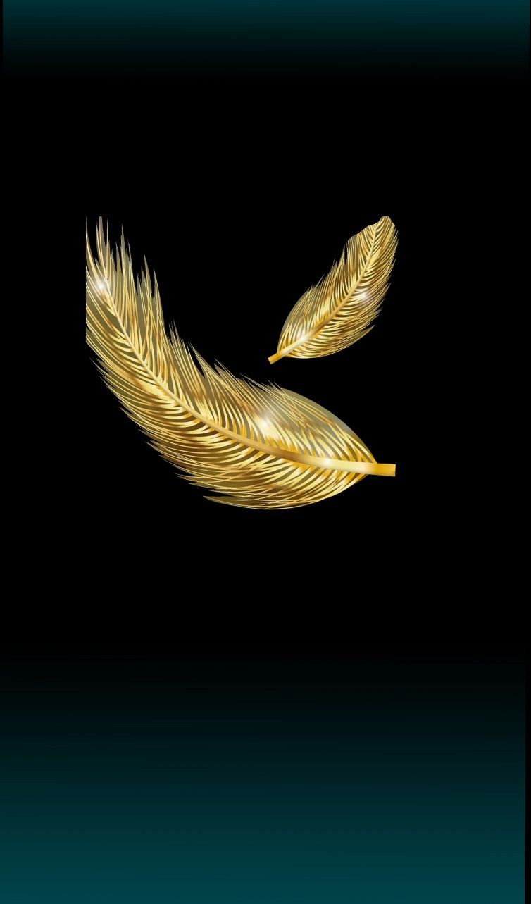 Black and gold Wallpaper   Pretty Gold wallpaper Feather