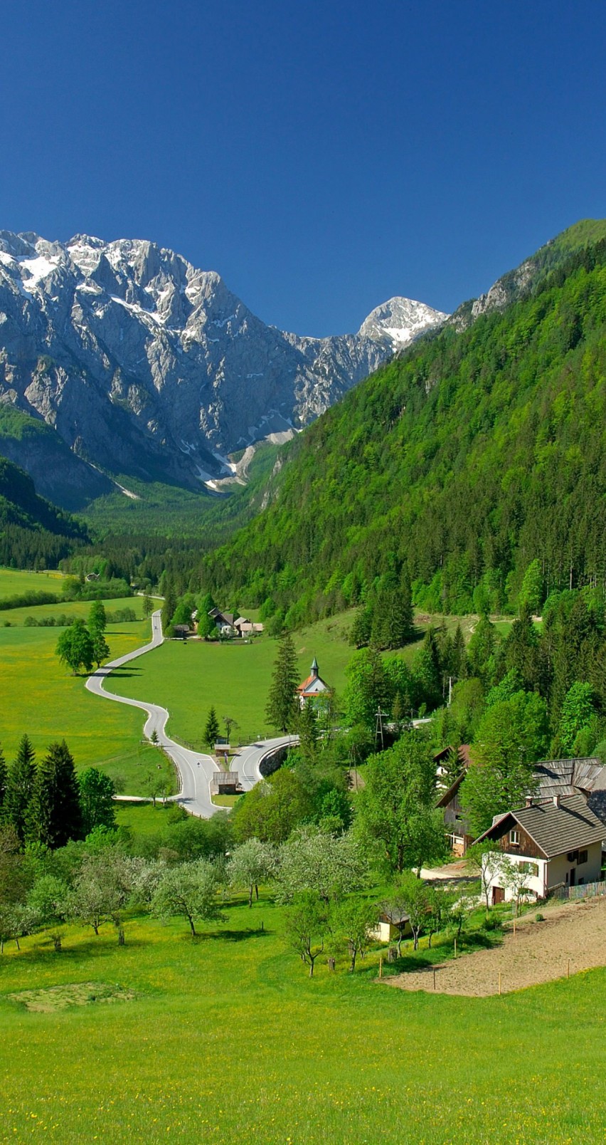 Spring In The Alpine Valley HD Wallpaper For iPhone HDwallpaper