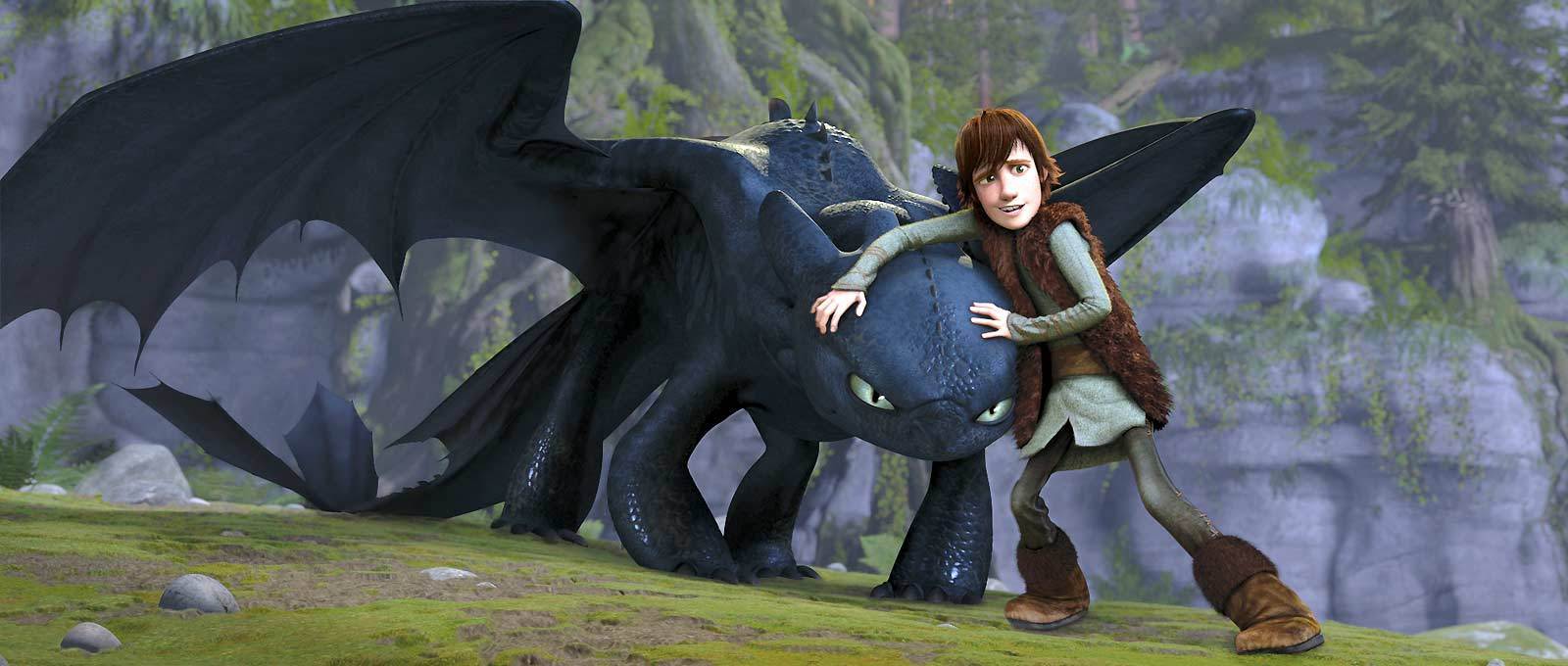 Train Your Dragon Image Hiccup Toothless Wallpaper Photos