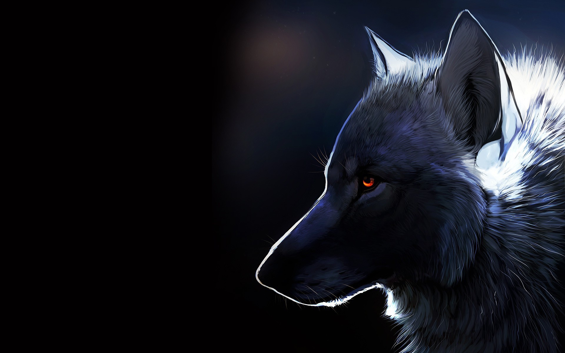 Wolf Wallpaper HD Pictures One
