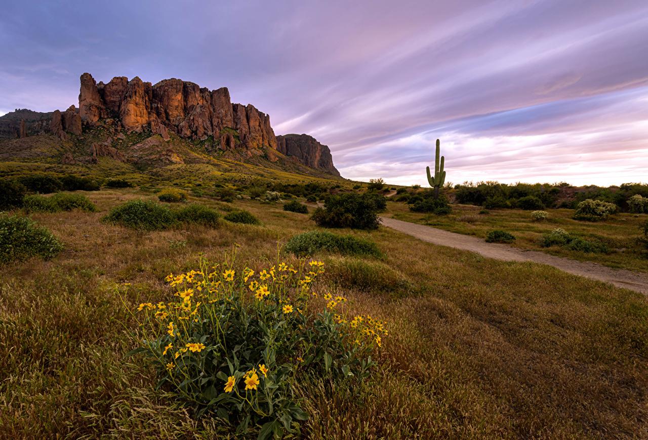 Desktop Wallpaper Usa Arizona Rock Spring Nature Grass
