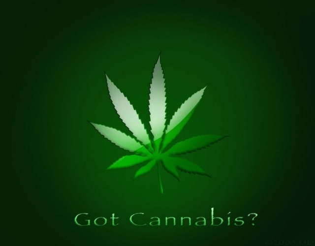 Cannabis Leaf HD Weed Wallpaper