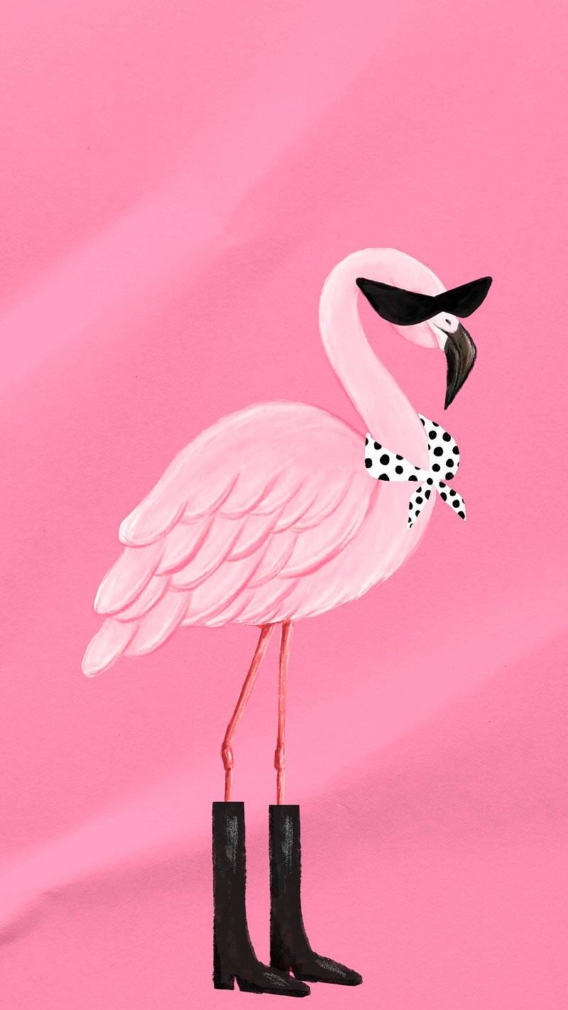 Cool Flamingo iPhone Wallpaper Pink