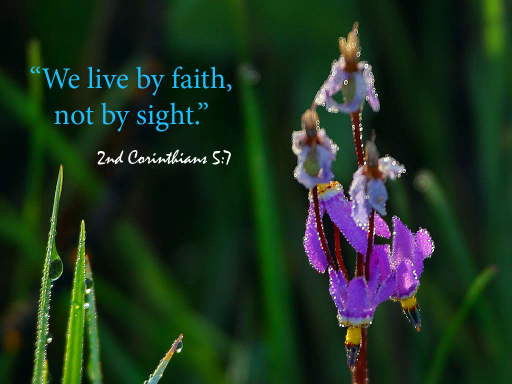 Live By Faith Wallpaper Christian And Background