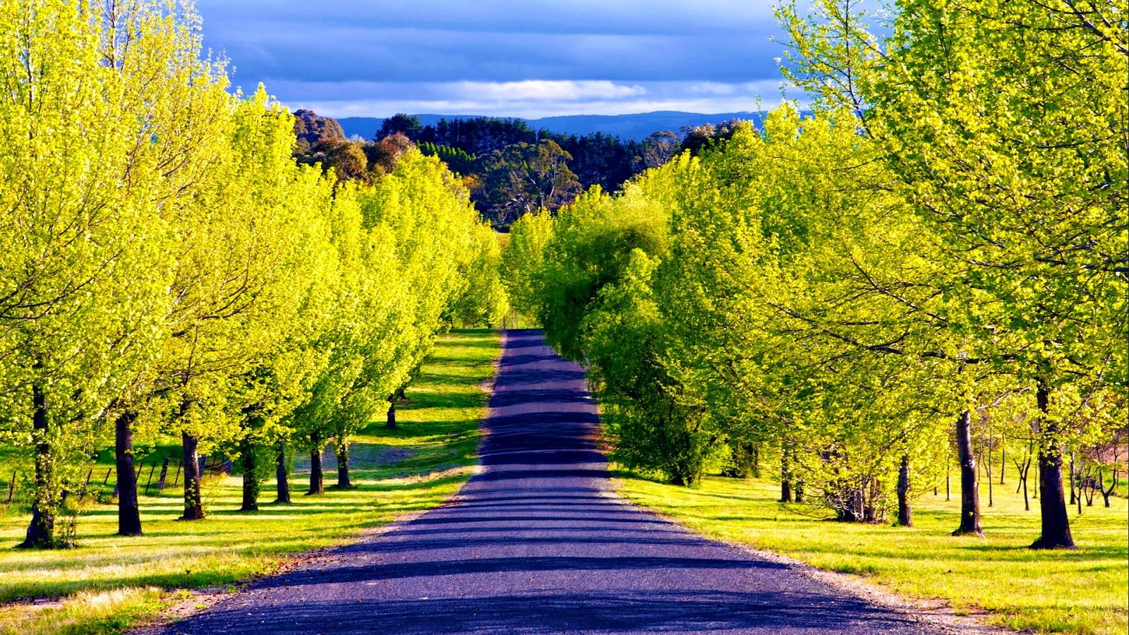 Most Beautiful Scenic Wallpaper Pathway The