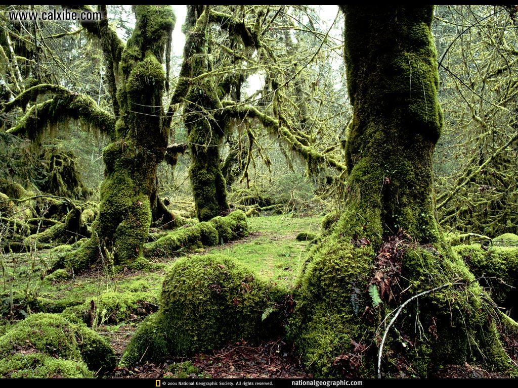 National Geographic More Pictures Of