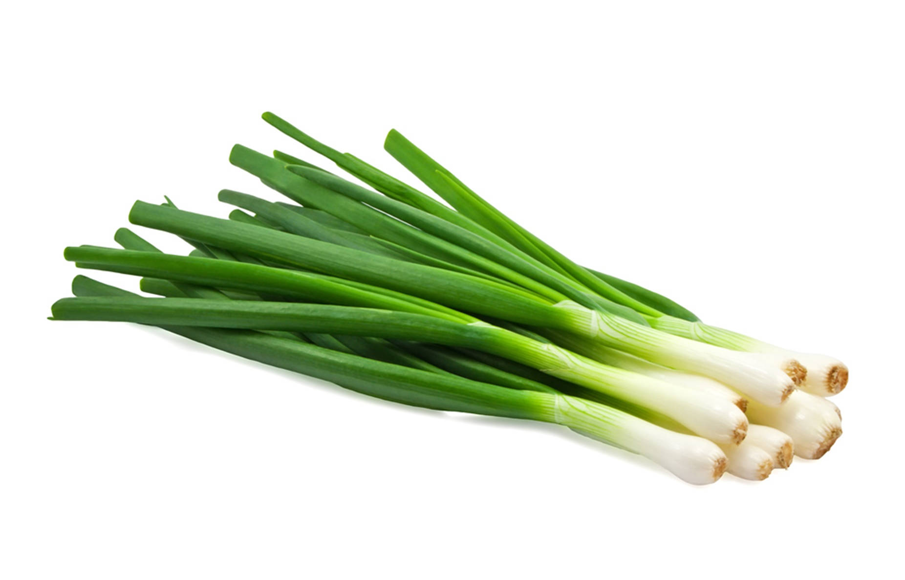 Green Onion Wallpaper