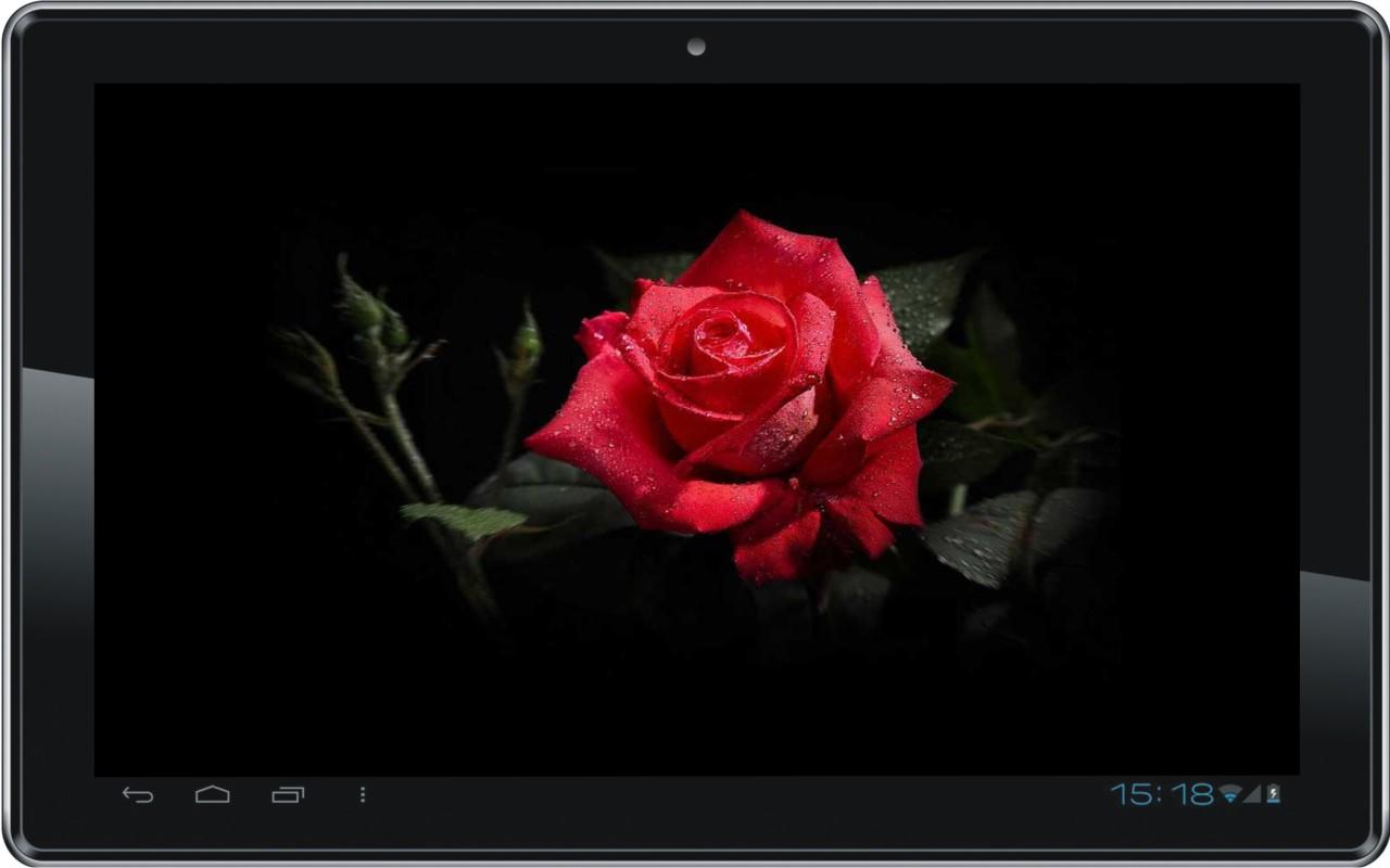 Diamond N Roses Live Wallpaper Android Apps On Google Play