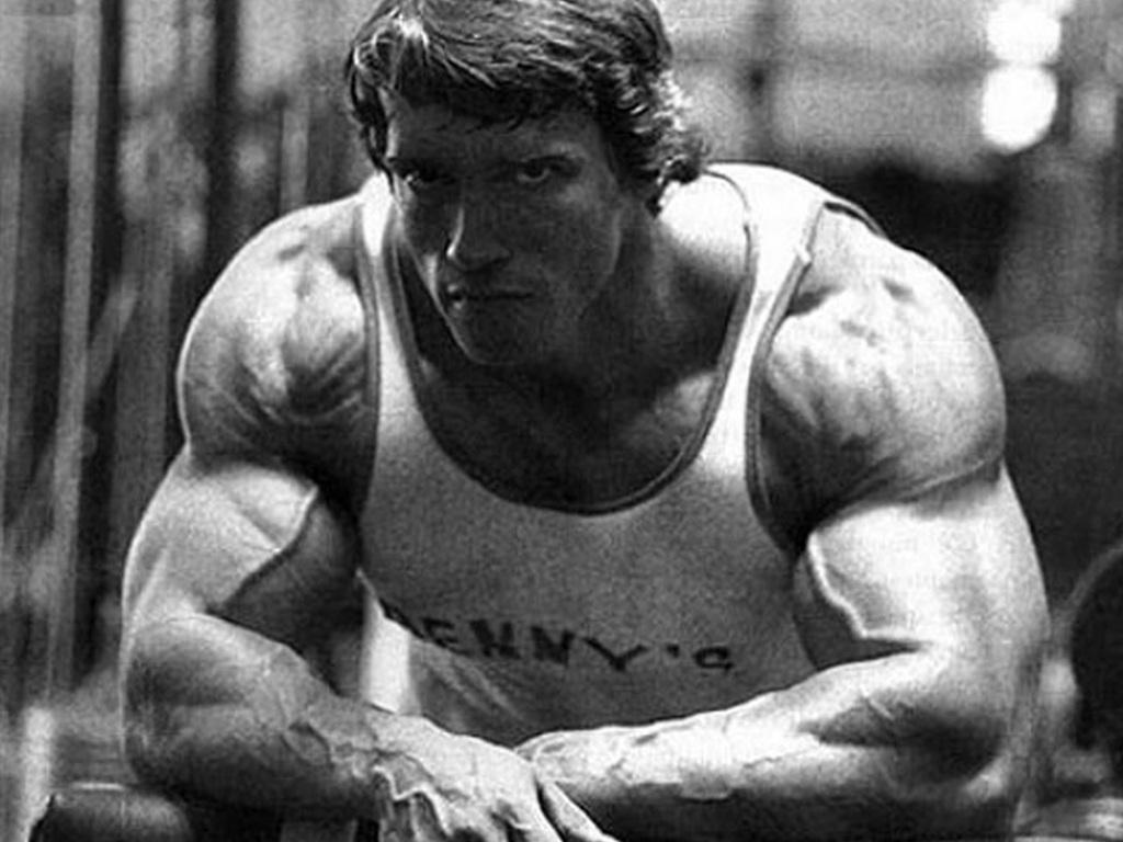 Arnold Schwarzenegger Bodybuilding Image The Art Mad Wallpaper