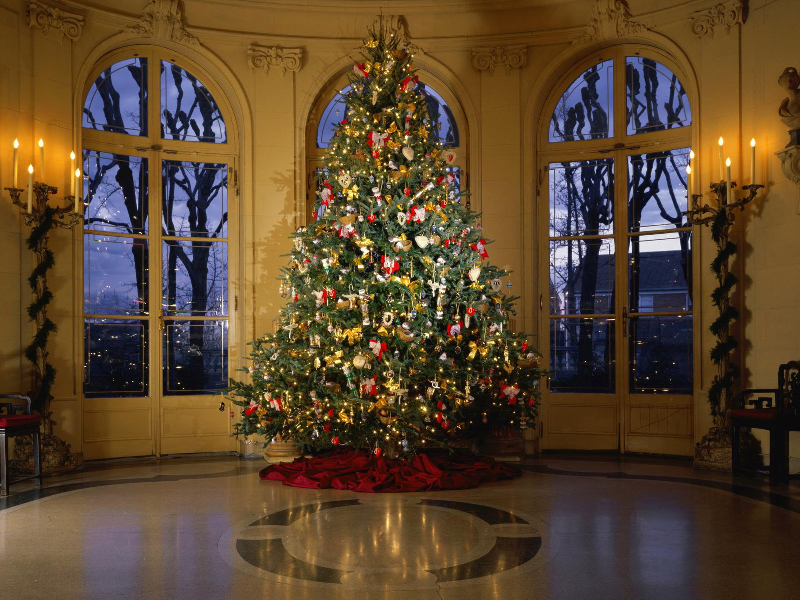 Download Christmas Trees wallpaper classy christmas tree