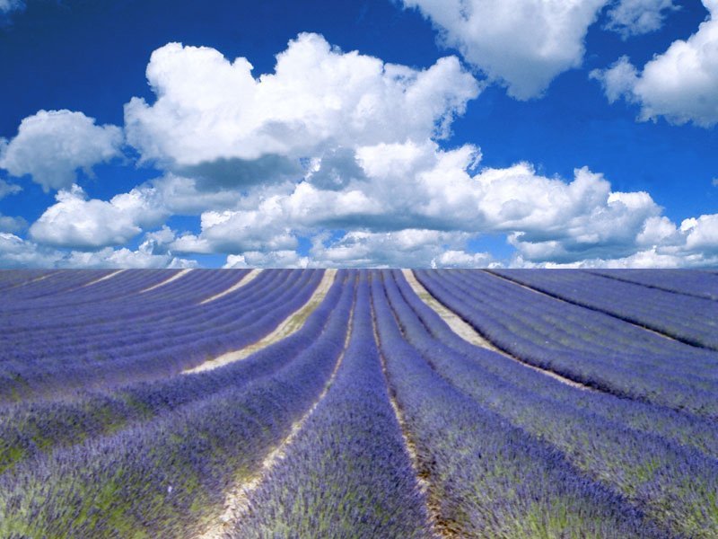 Desktop Wallpaper Bliss Provence