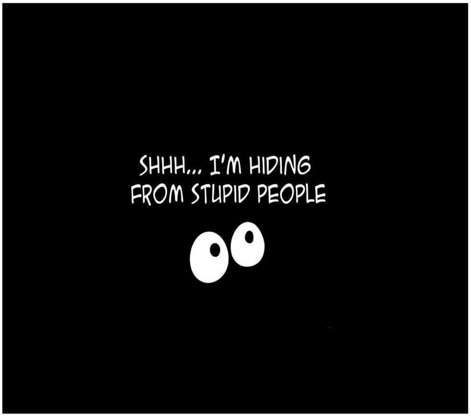 Shhh I M Hiding From Stupid People Stuff Funny Quotes