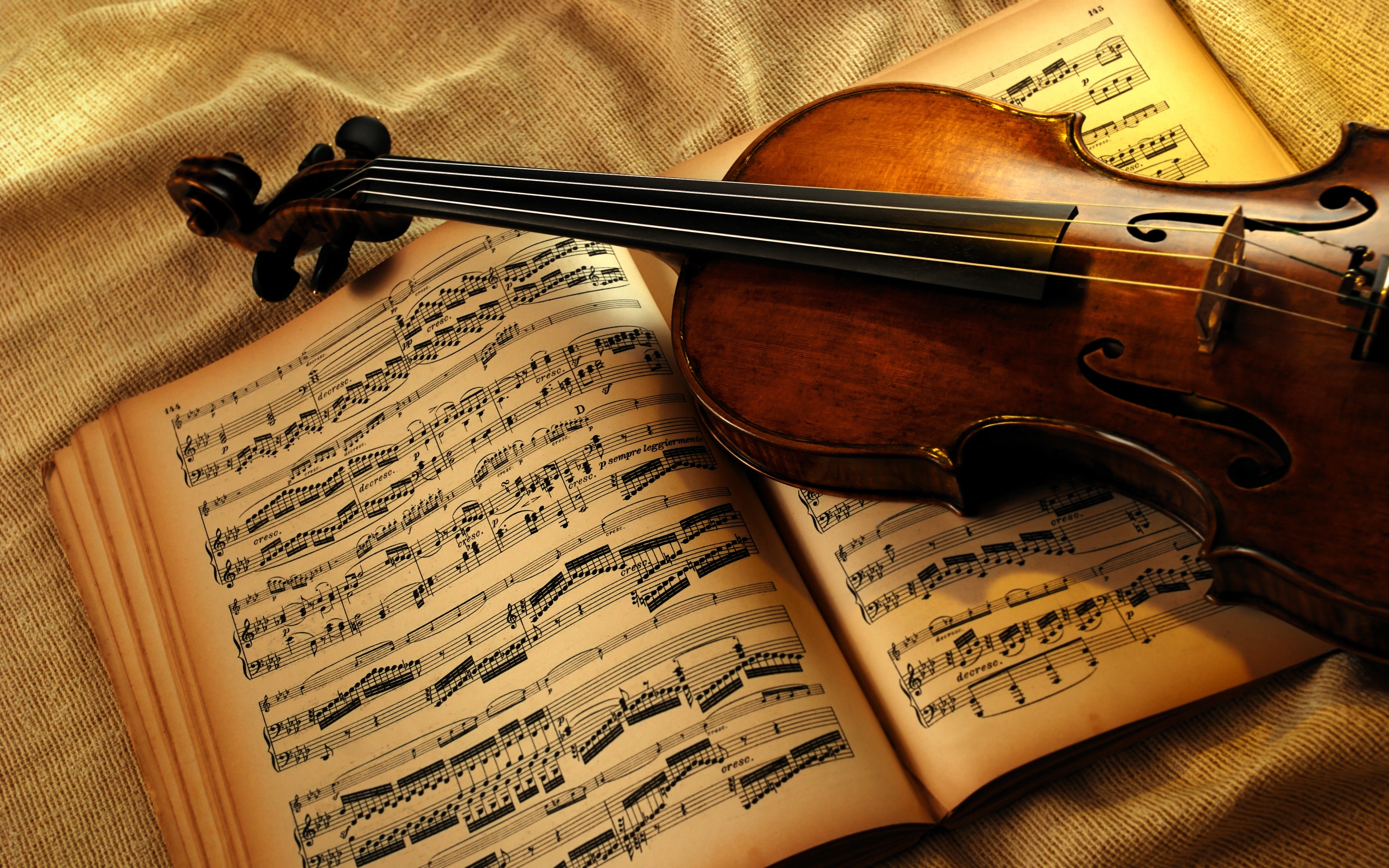 The Violin Can Be A Very Rewarding Process We Offer Private