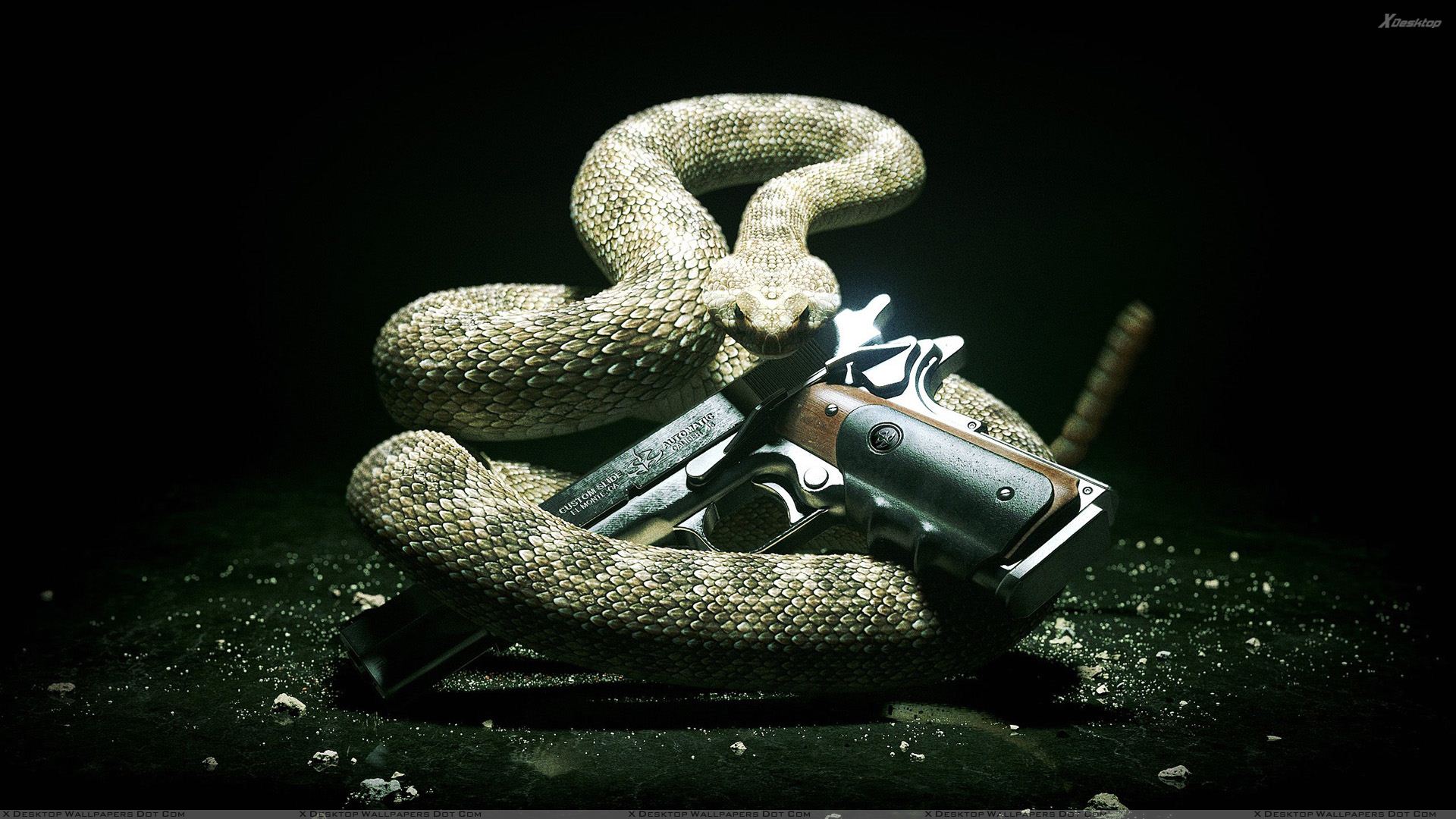 Hitman Absolution Snake With A Gun Wallpaper