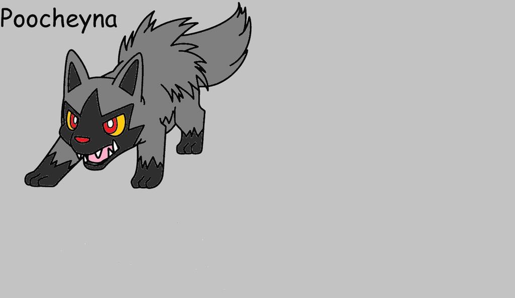 Poochyena Wallpaper By Sonicmauricehedgehog