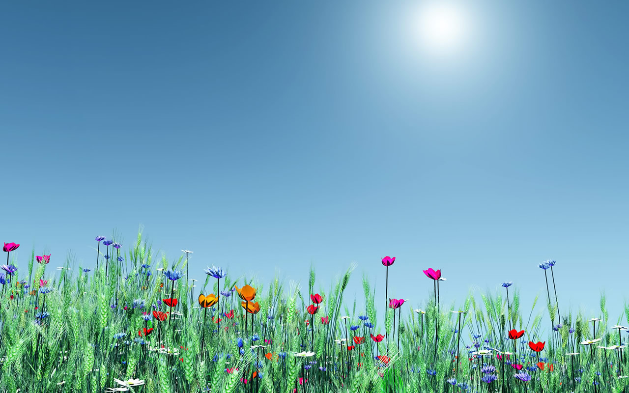 Spring Winter Flowers Against Nature Season Desktop Wallpaper
