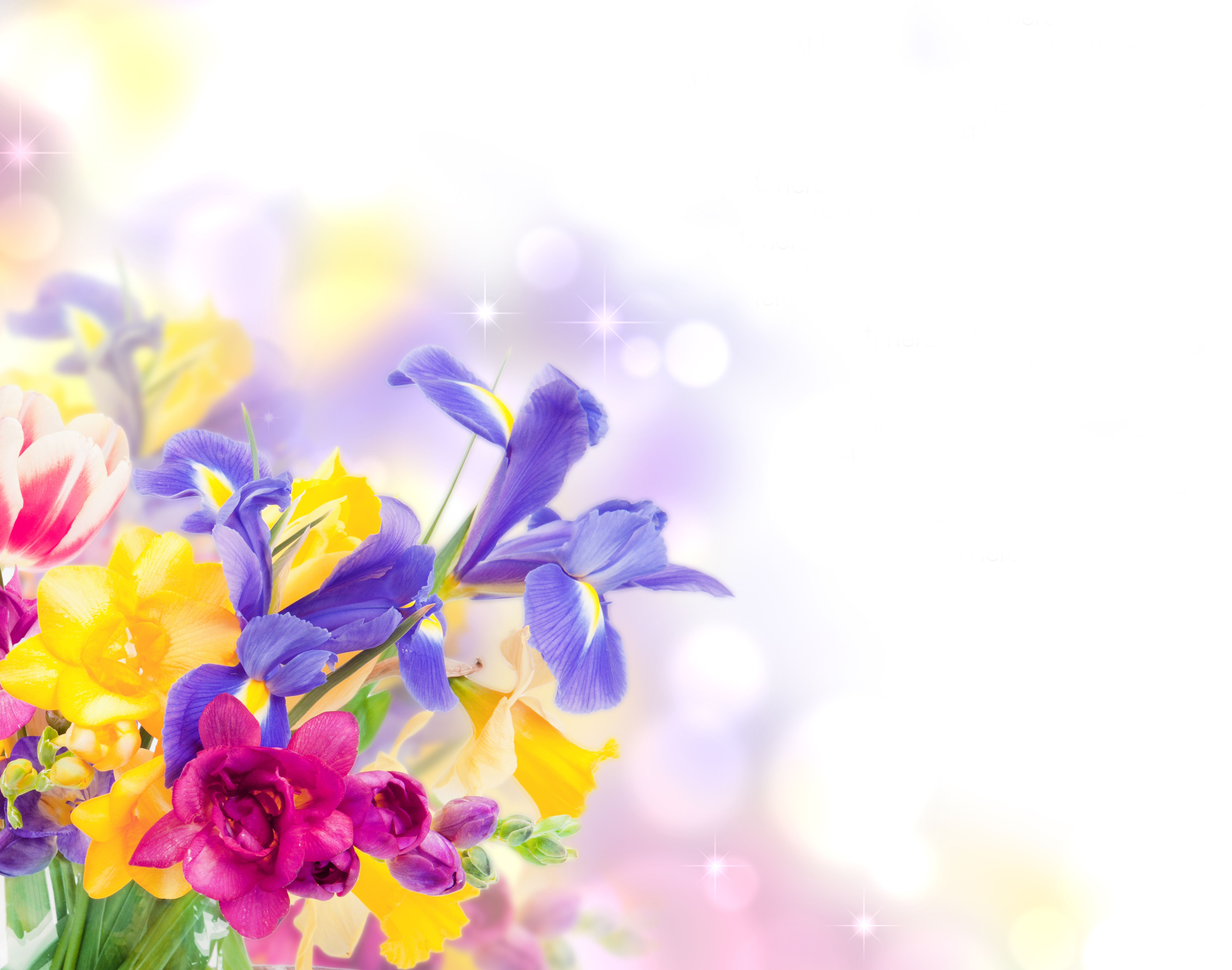 Floral Decorative Background Gallery Yopriceville High